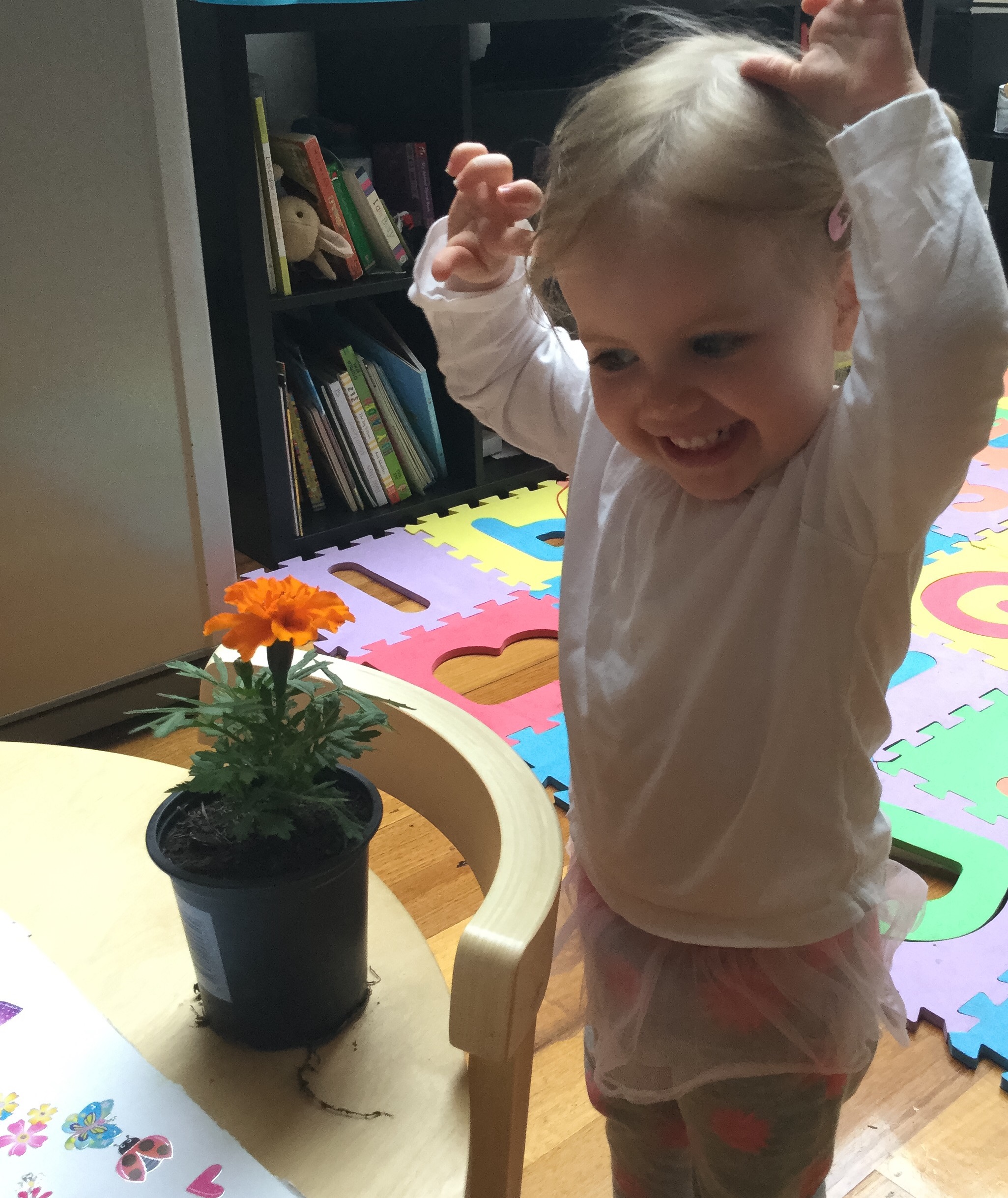 8 Oct – recovery continues