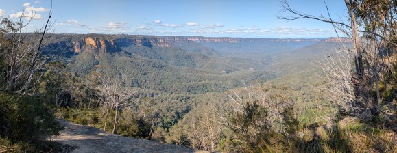 blue mountains view