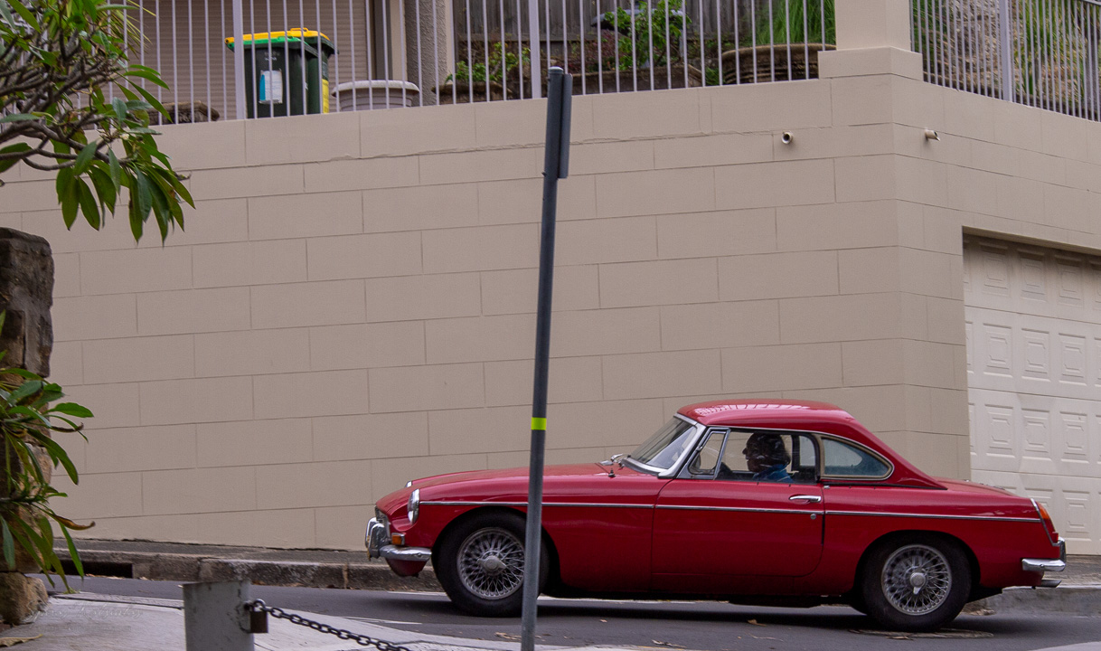 Birchgrove Walk 2025